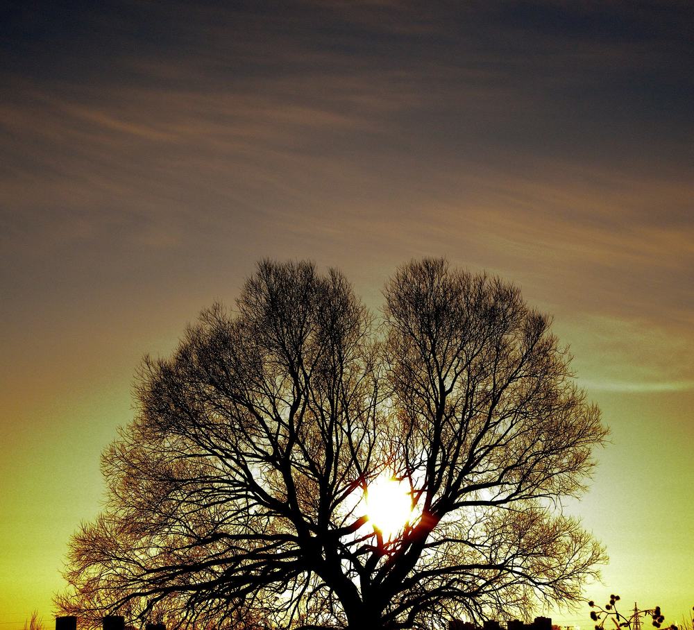 Photograph by Андрей Антипатров