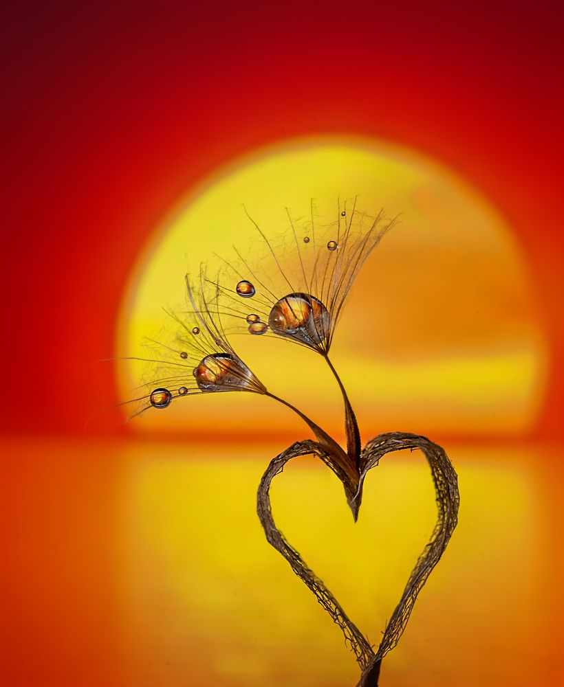 Photograph by Тарасова Ольга