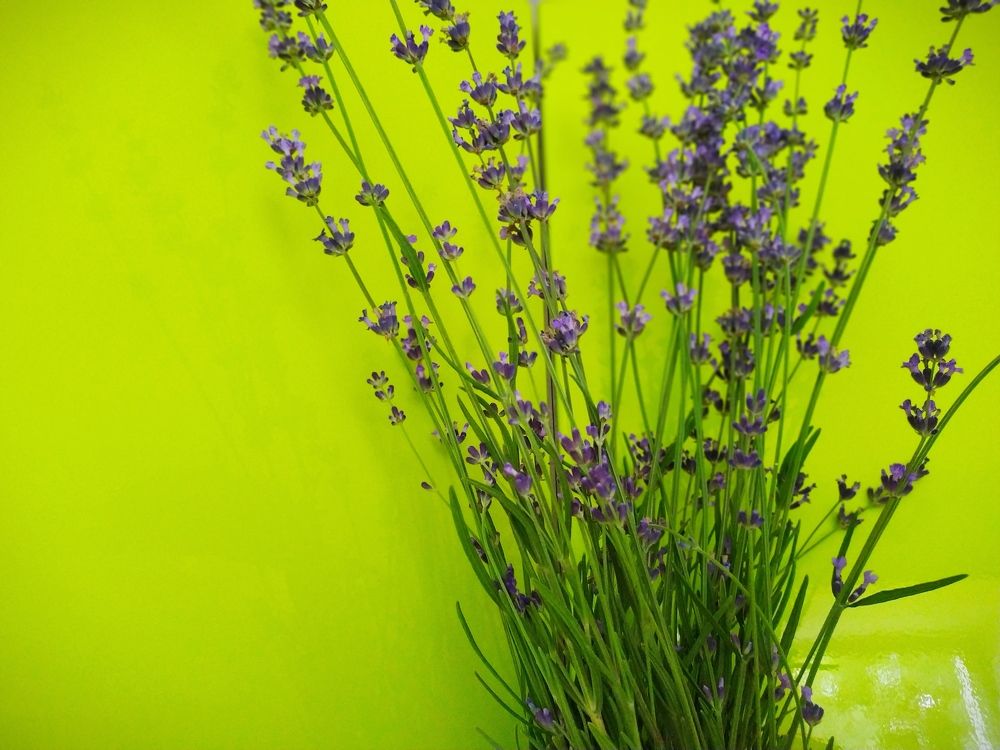 Photograph by Татьяна Кузнецова