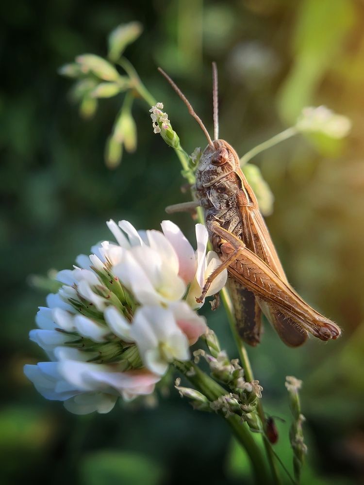 Photograph by Сергей Протасов