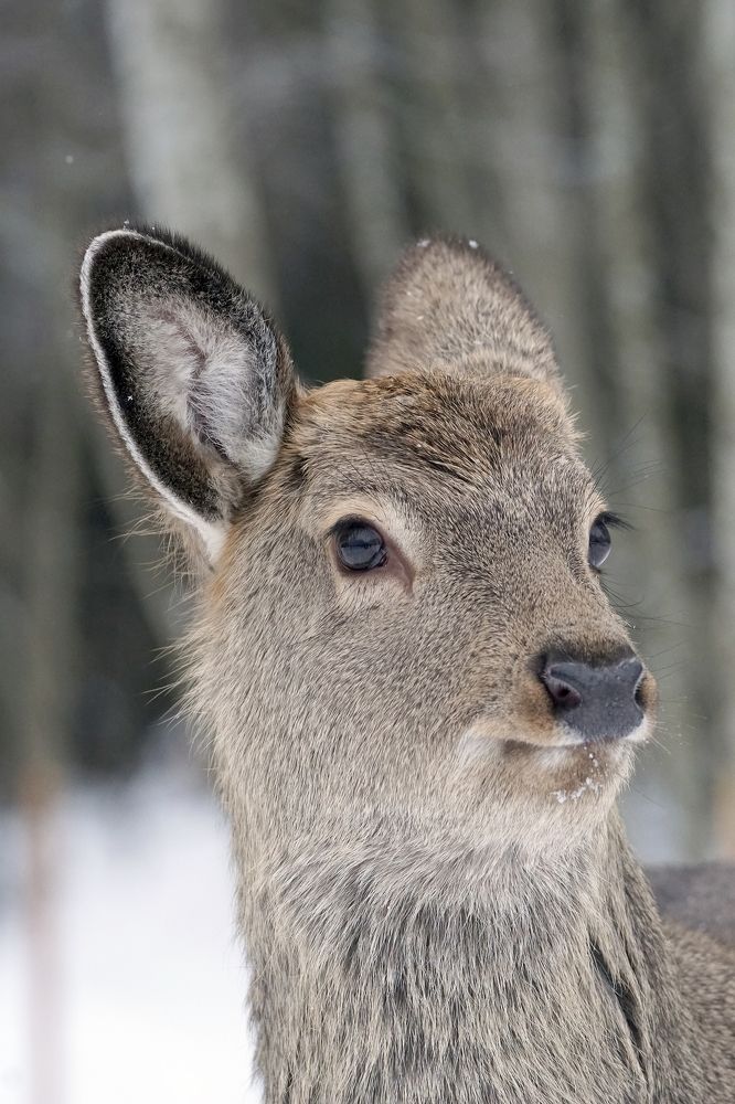 Photograph by Татьяна