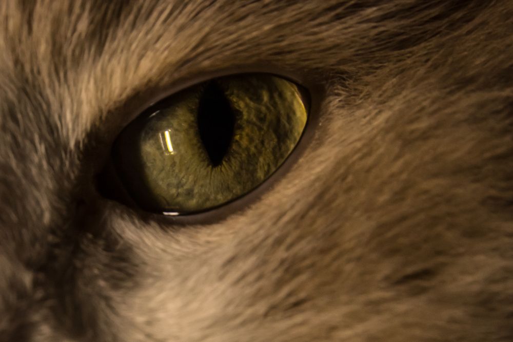 Photograph by Мария Тёмкина