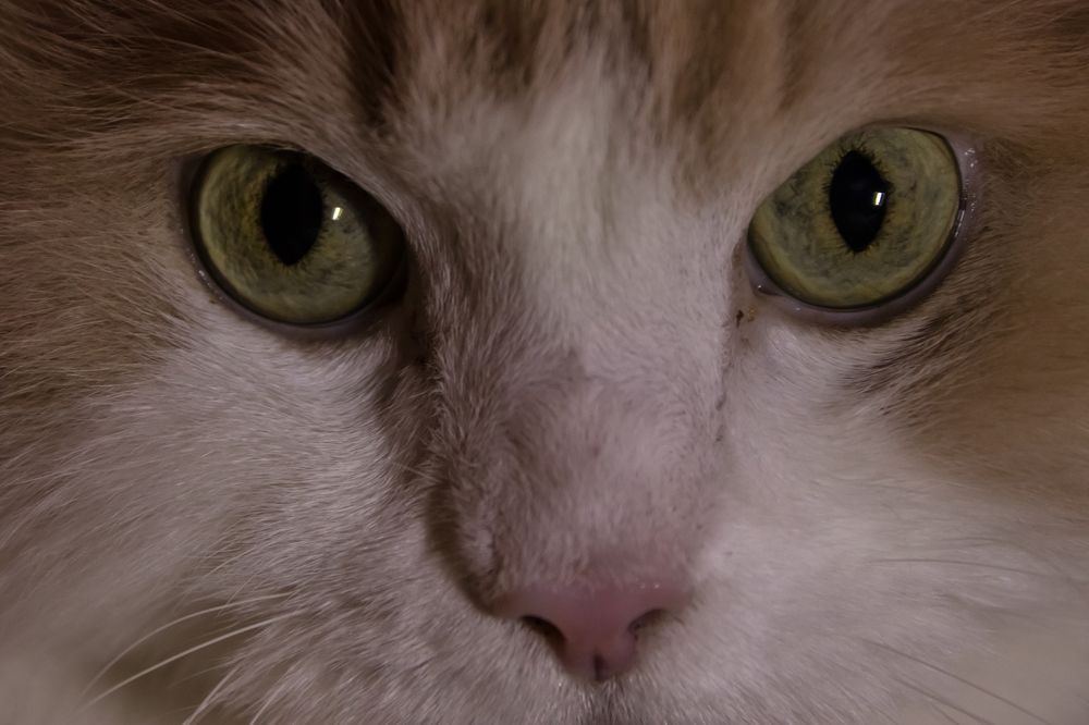 Photograph by Мария Тёмкина