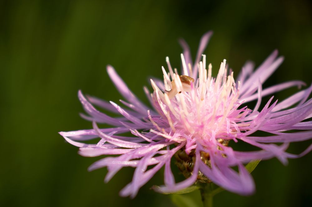 Photograph by Зоя