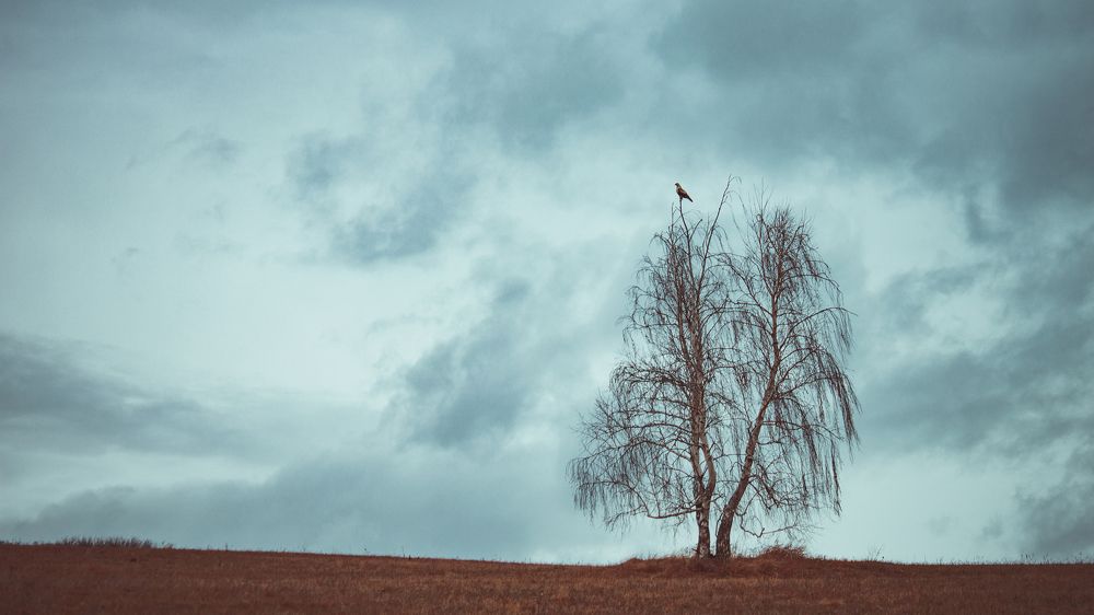 Photograph by Владислав Переродин