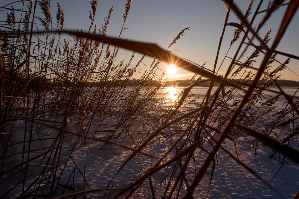 Photograph by Зоя