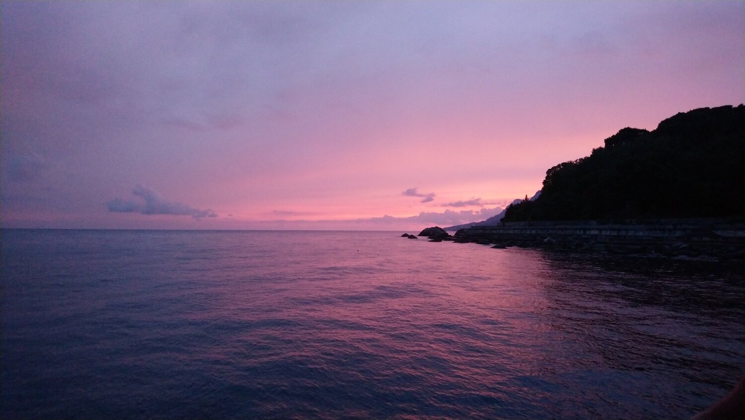 Photo #5769671
