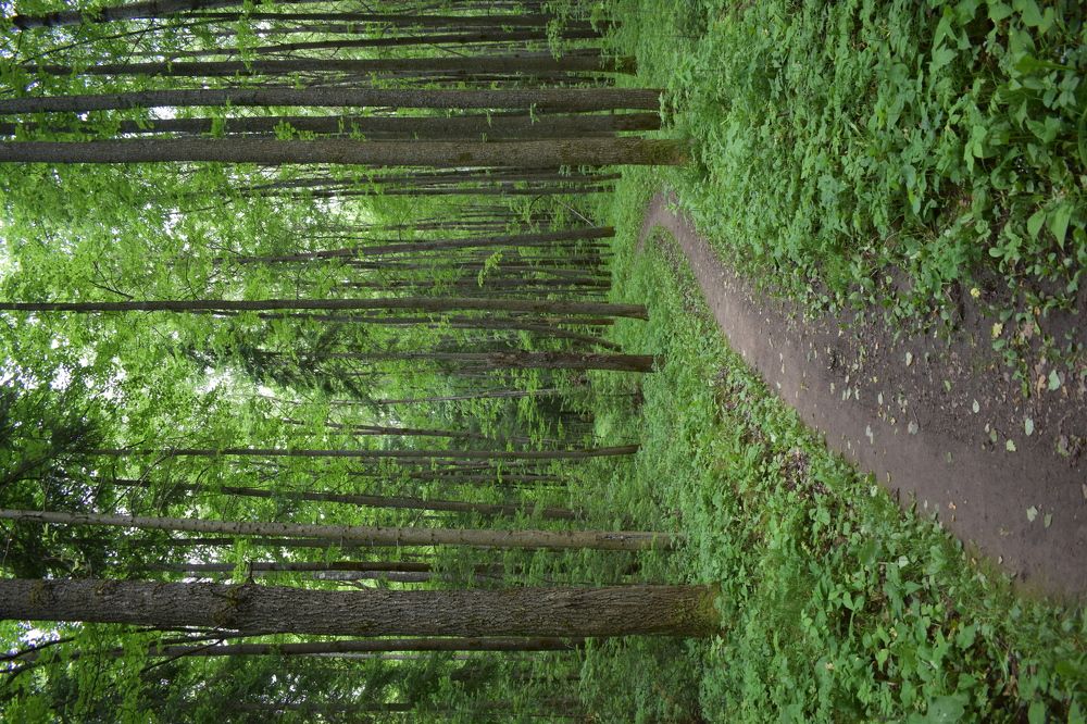 Photograph by Сергей Головин