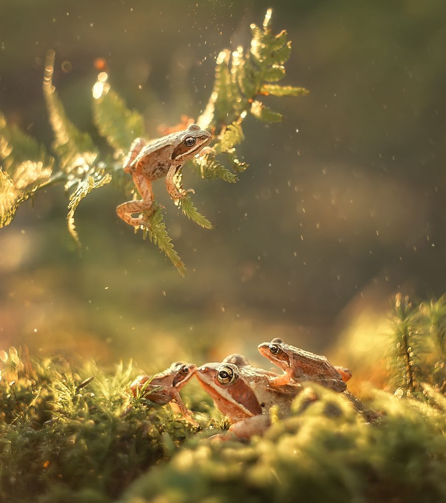 Photograph by Тарасова Ольга