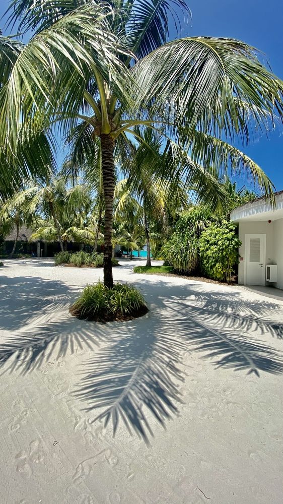 Photograph by Екатерина Зуева