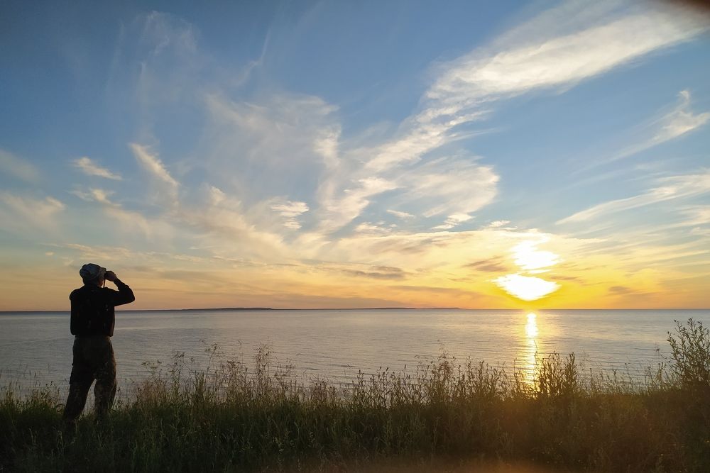 Photograph by Альбина
