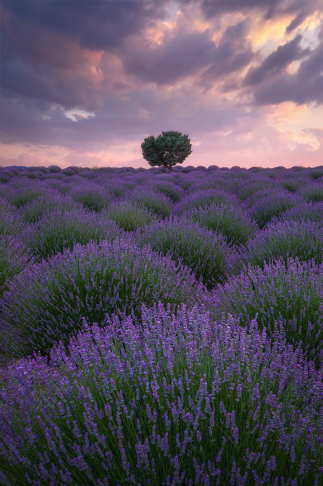 Photograph by Kani (kanipolat.com) Polat