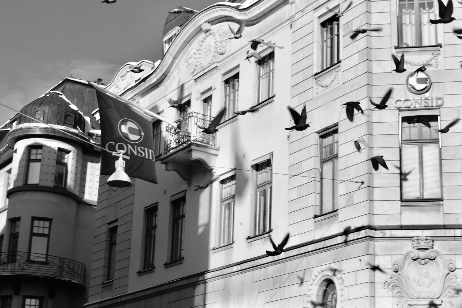 Photo #5769927