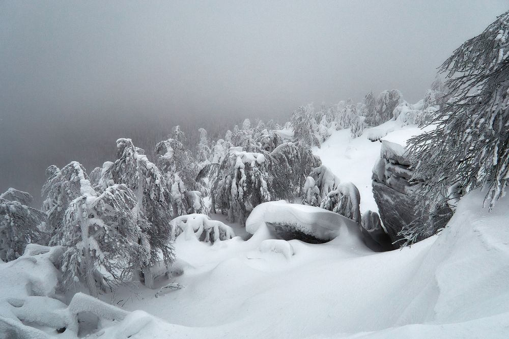 Photograph by Дмитрий Соснин