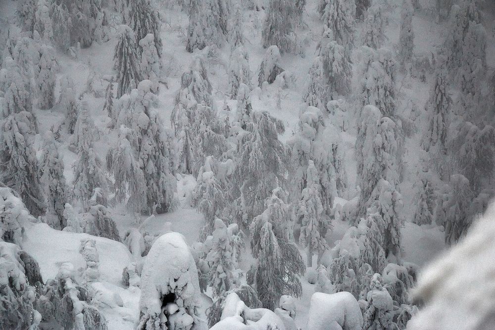 Photograph by Дмитрий Соснин