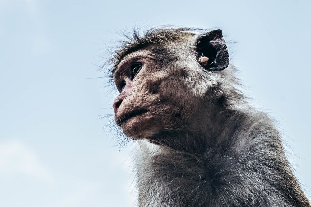 Photograph by Oliver Vojinovic