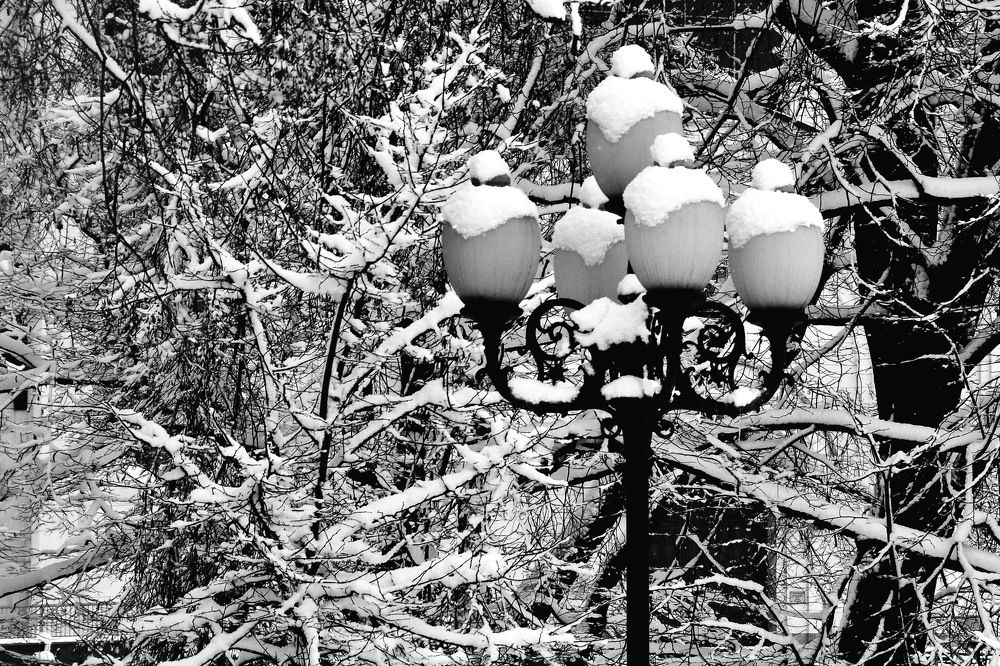 Photograph by Дмитрий Волков