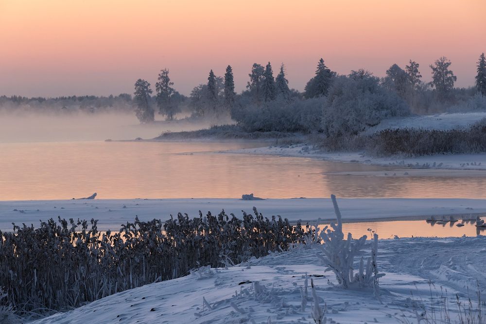 Photograph by Ярослав Лукьянов