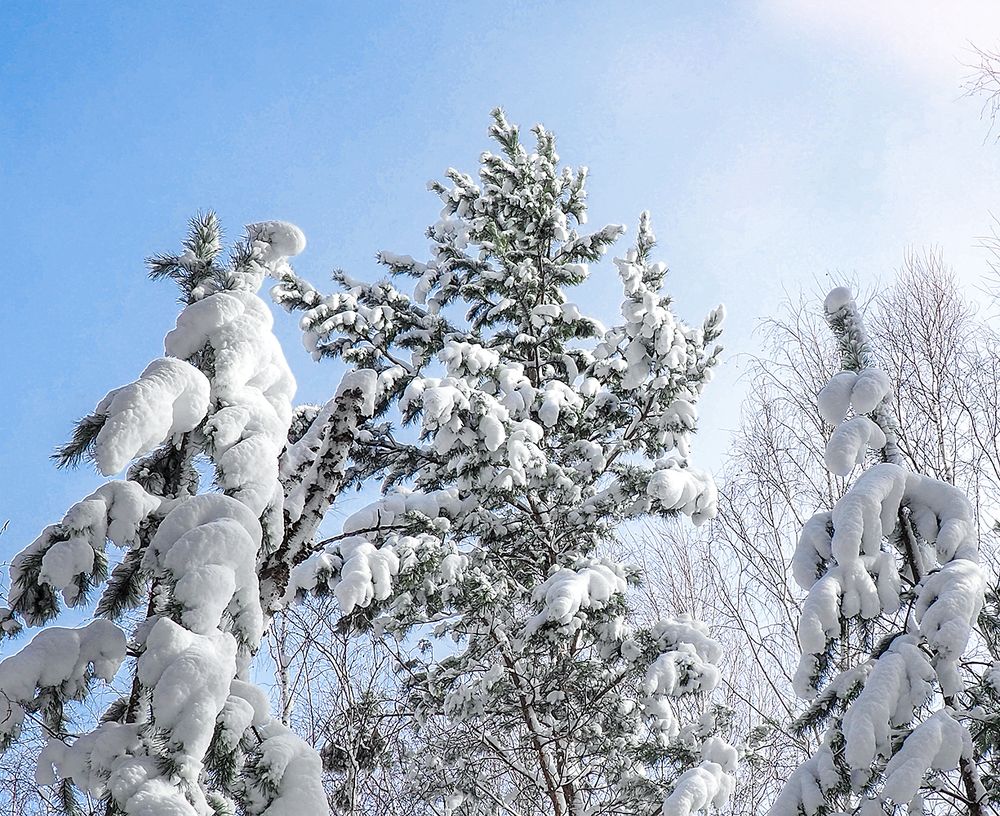 Photograph by МАрина Соловьева