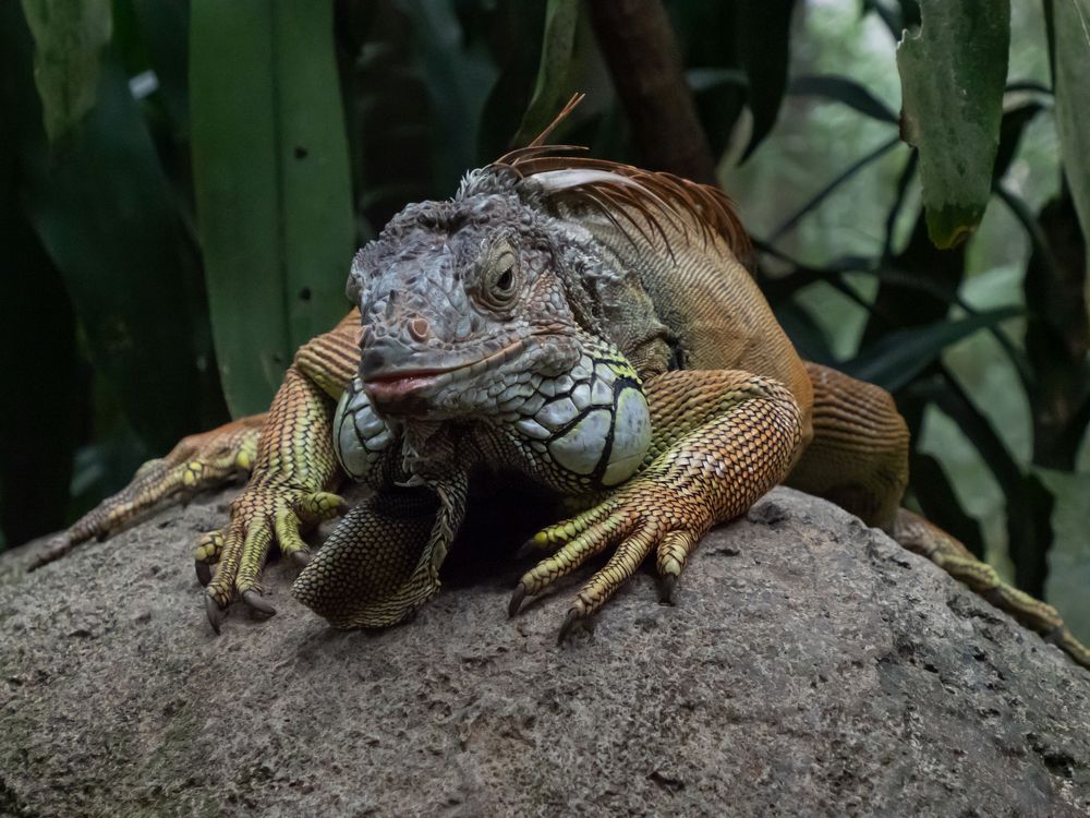 Photograph by Галина Михоношина