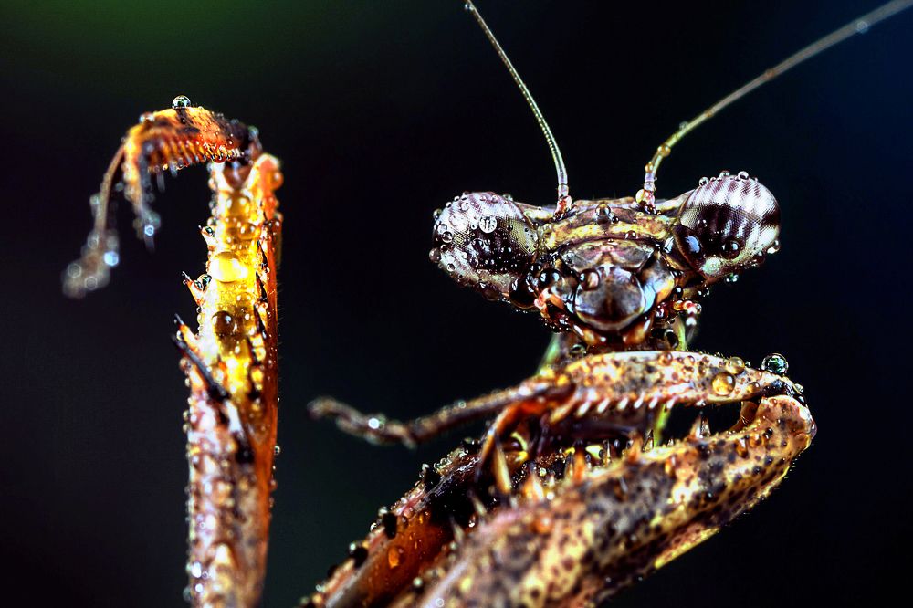 Photograph by Piotr Golebiowski