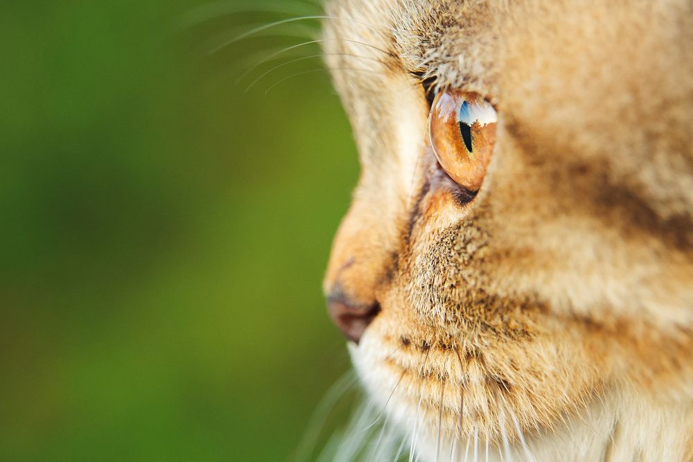 Photograph by Анастасия Мельник