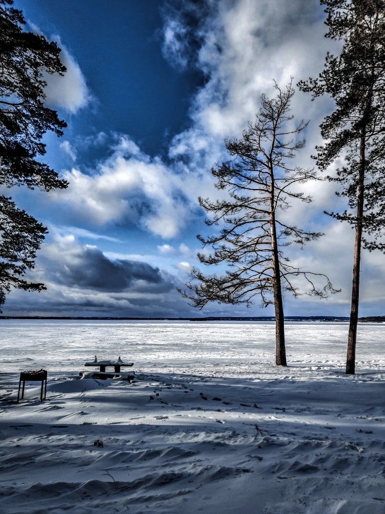 Photograph by Елена Башмакова