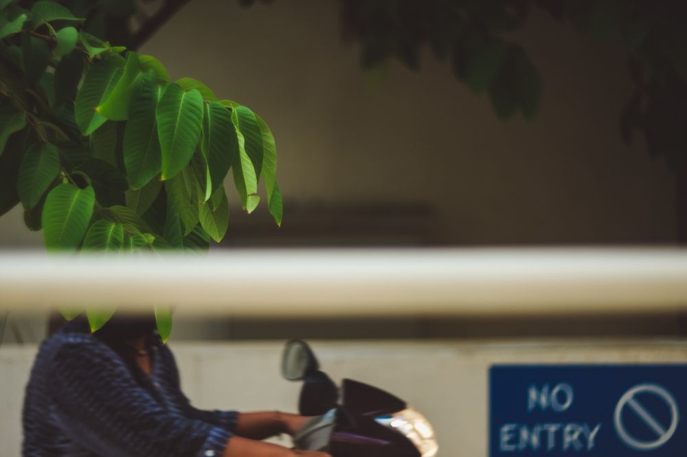 Photograph by Evgeniya Biriukova