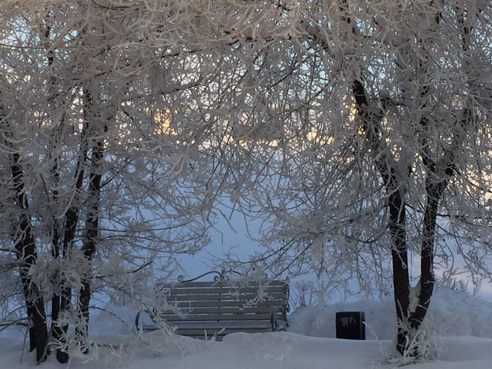 Photograph by Дарина Присекина