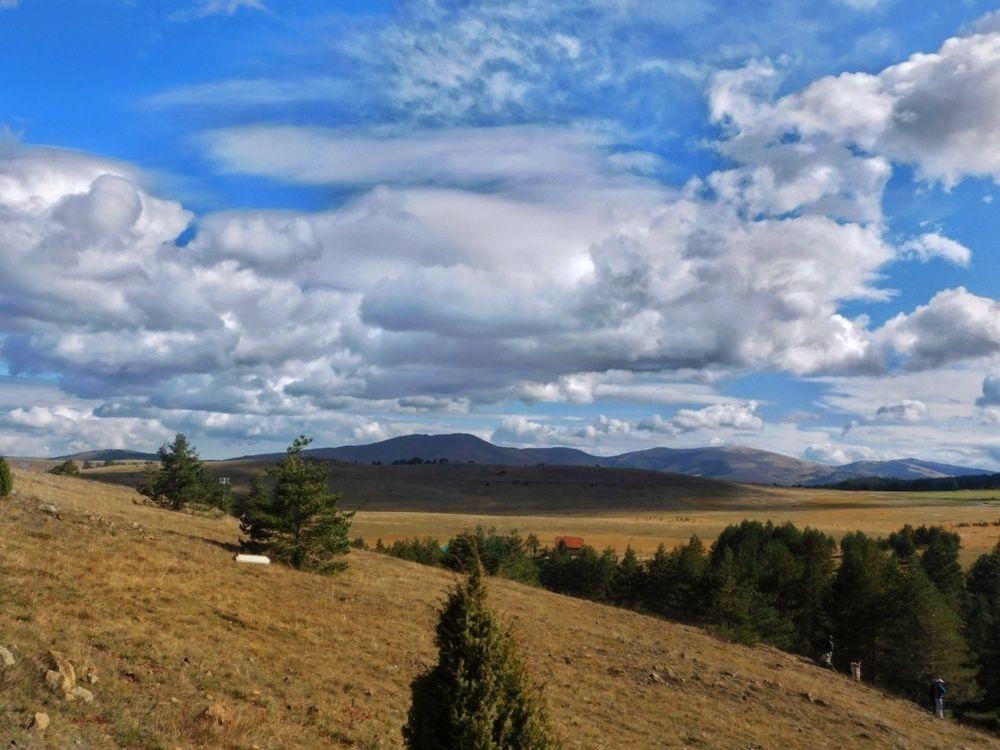 Photograph by Ana Bakic