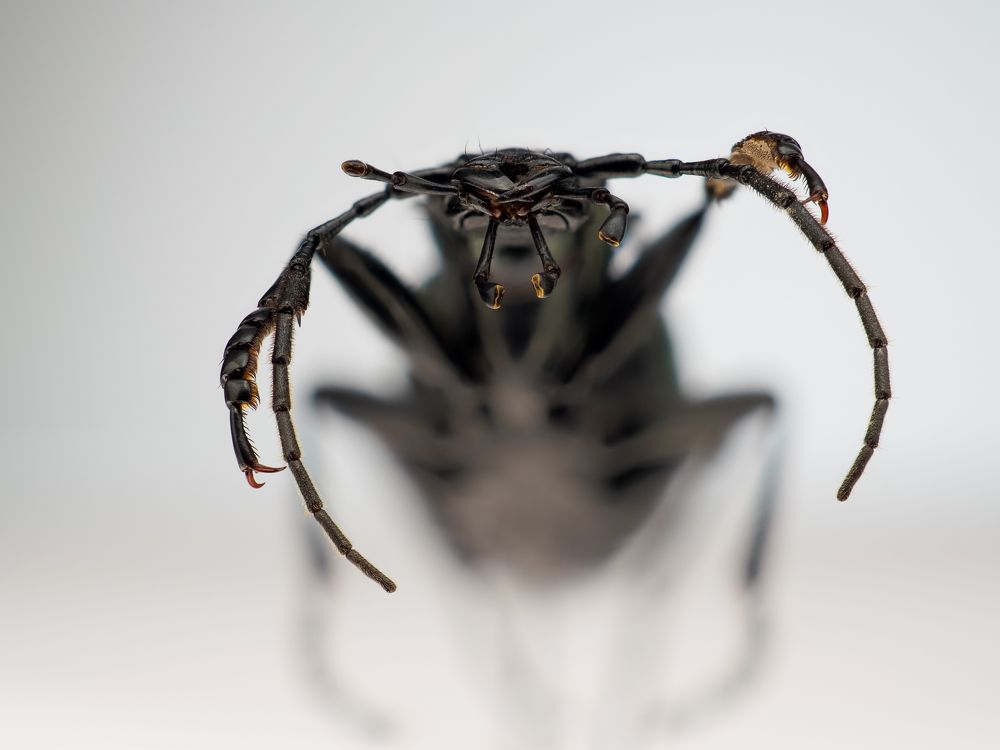 Photograph by Photons Reflectitur