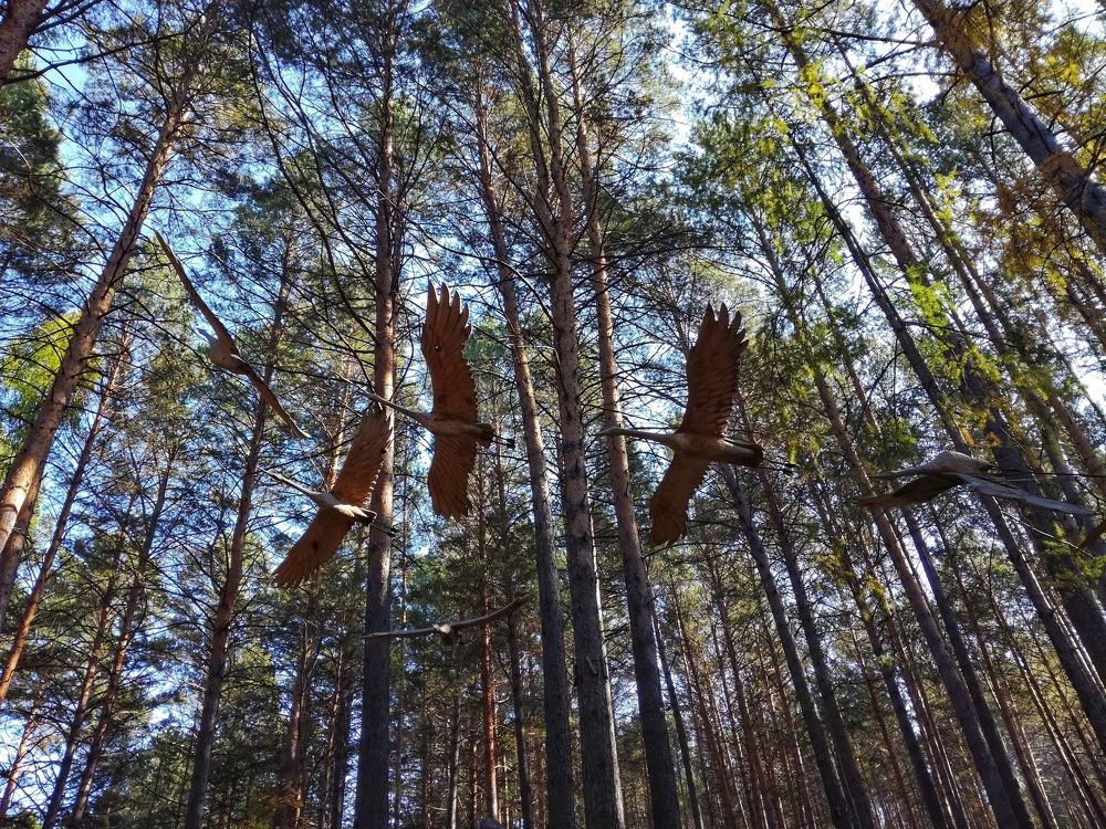 Иллюзия полёта…