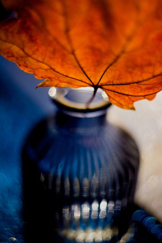 Photograph by Tatiana Kurilas