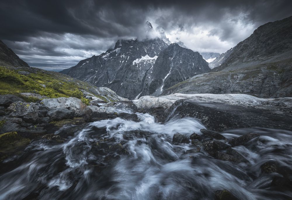 Kingdom of wilderness