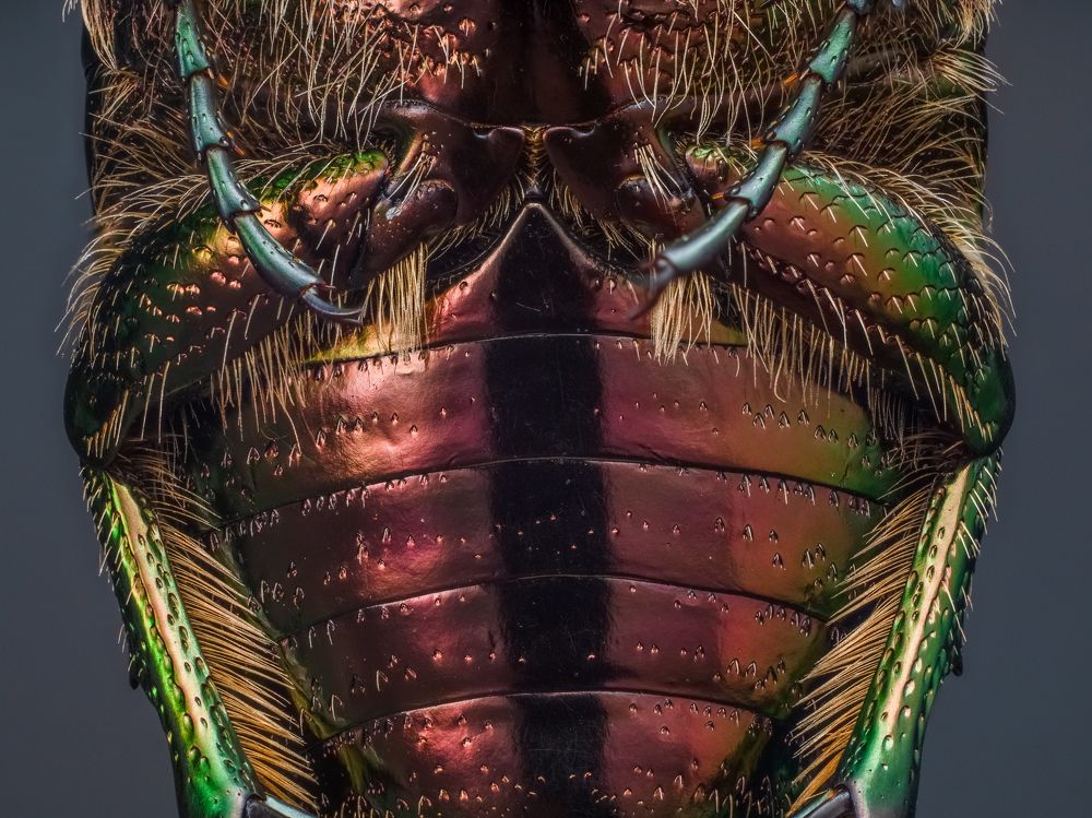 Photograph by Photons Reflectitur