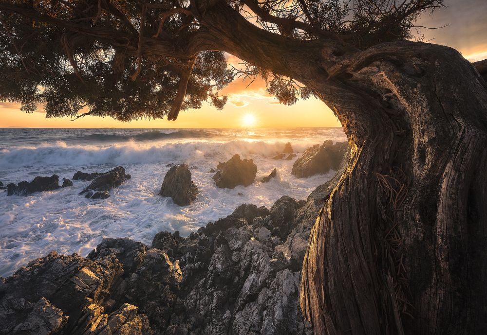 Photograph by Roksolyana Hilevych