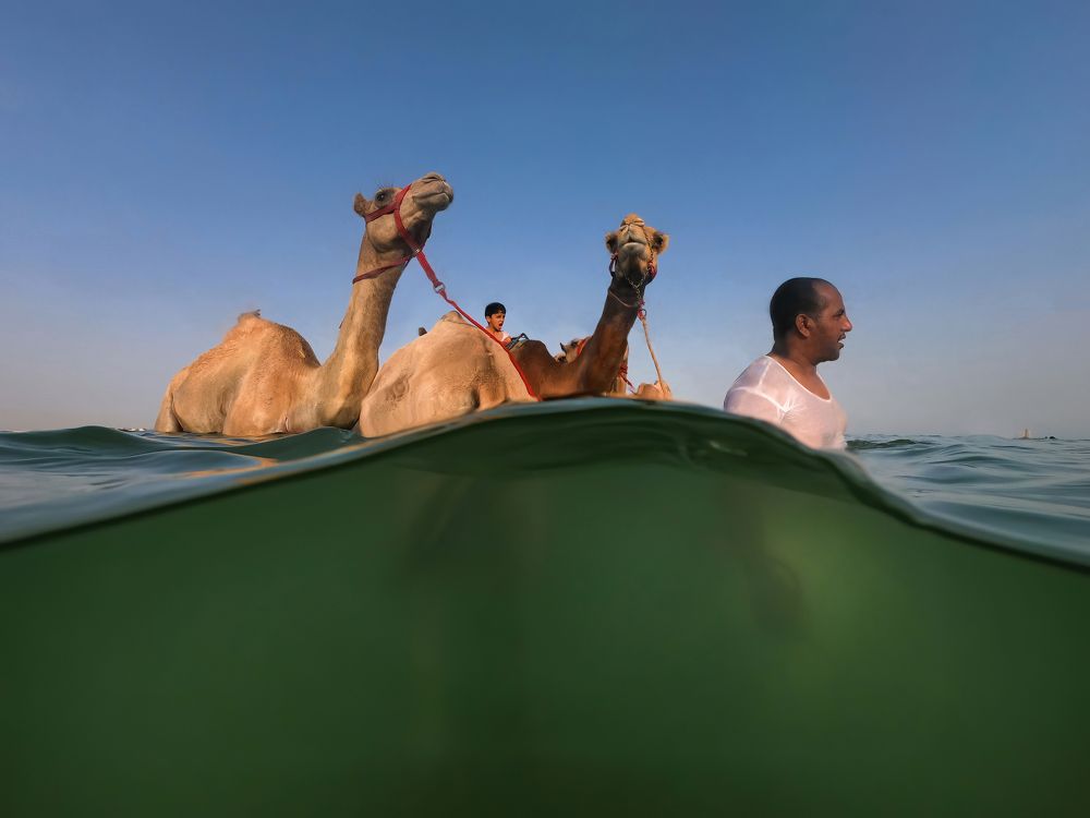 Still following their tradition