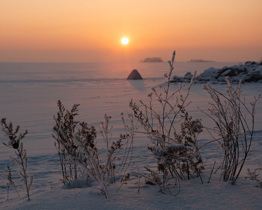 Photograph by Михаил Бирюков