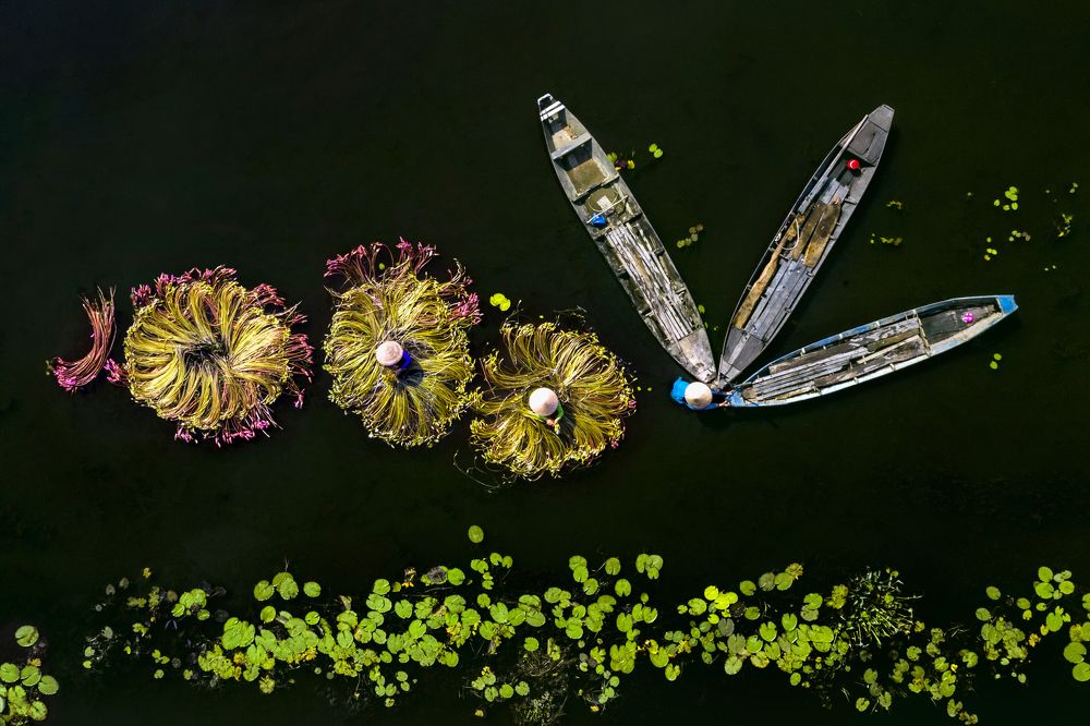 Flowers On The Water