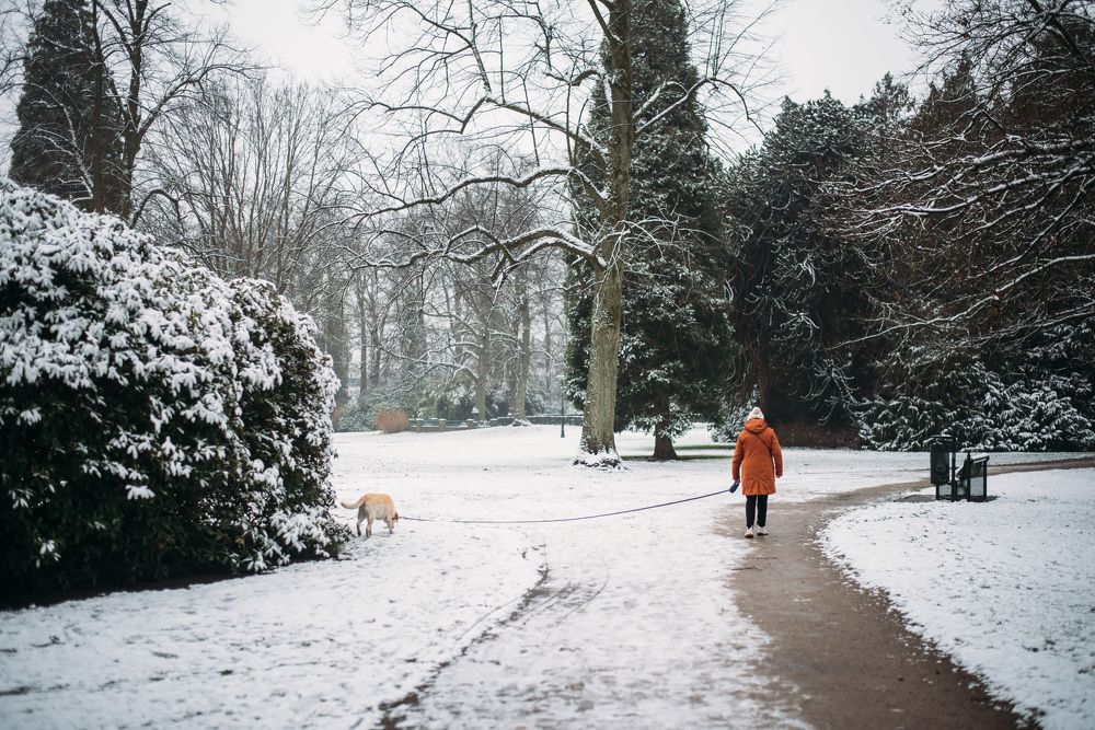 Photograph by Мария Пушкарева