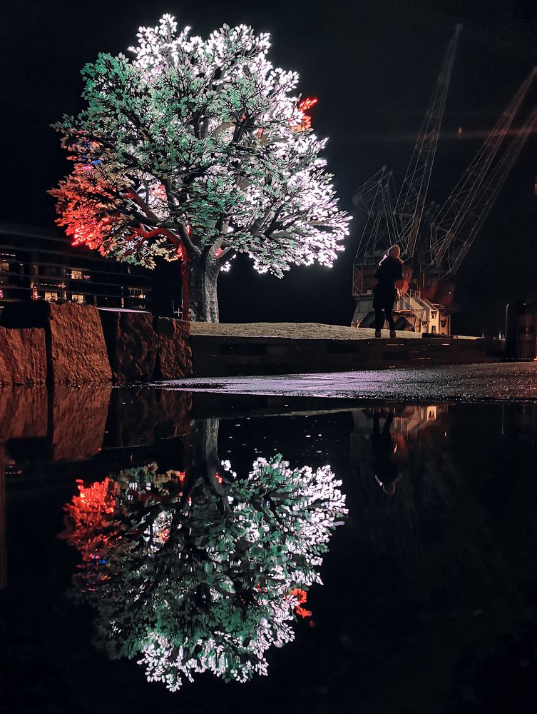 Фотография автора Anna NovaLova