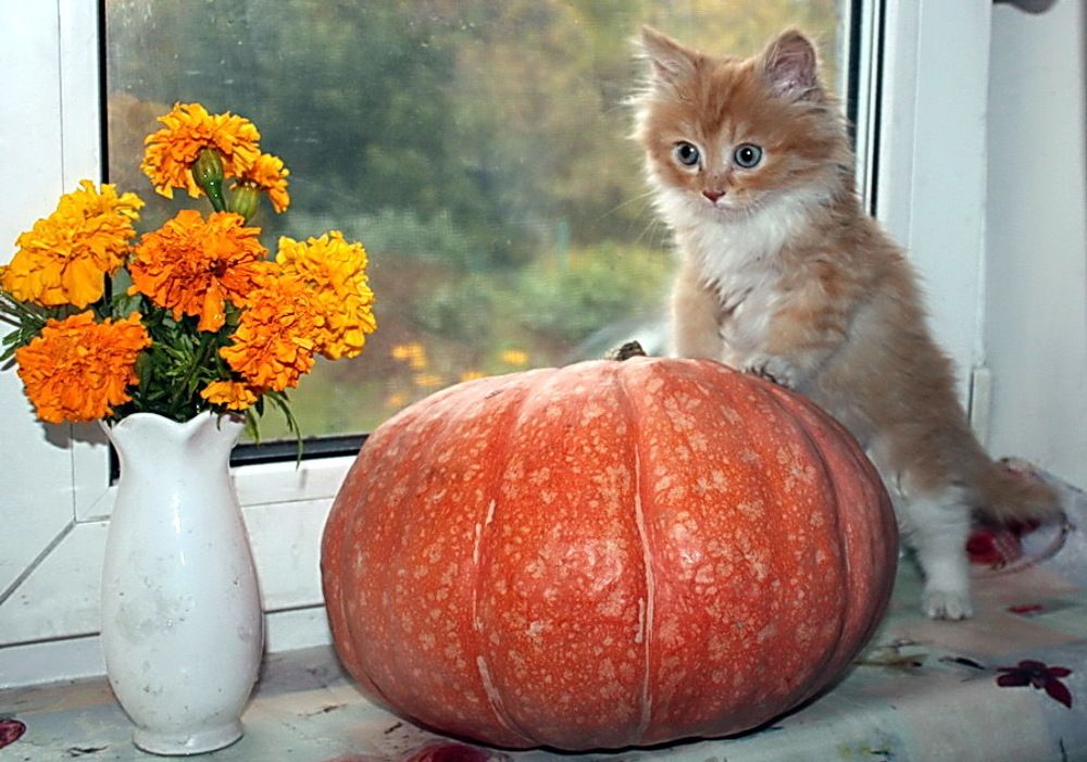 Photograph by Irina Galaktionova