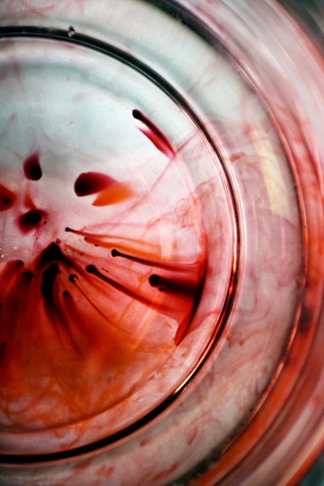 Photograph by Michal Rawski