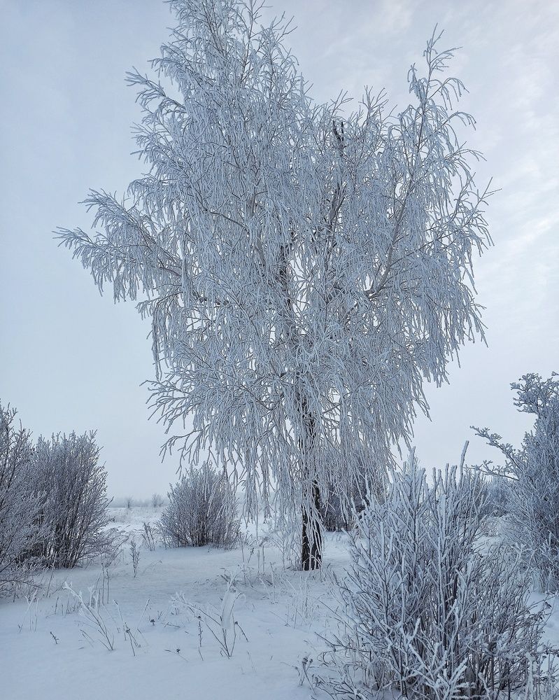 Photograph by Максим Лапин