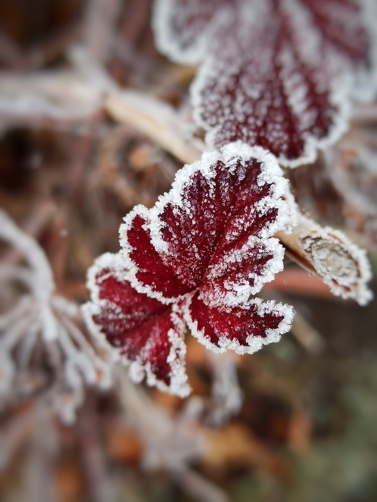 Photograph by Максим Лапин