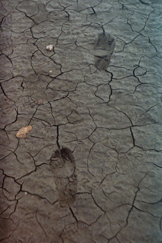 Photograph by Марк Райзов