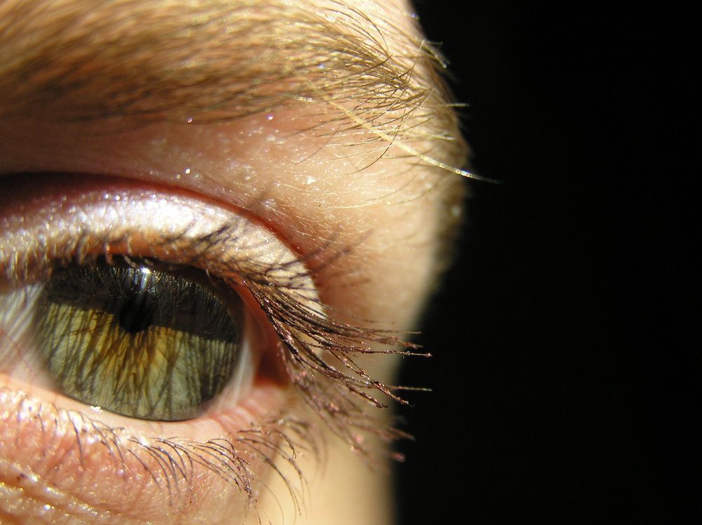 Фотография автора Мария Веселова