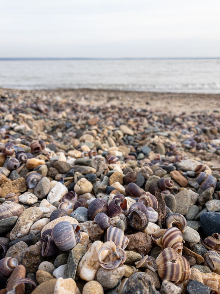 Photograph by Елена Димова