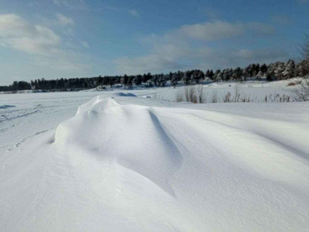 Фотография автора Людмила Зубова