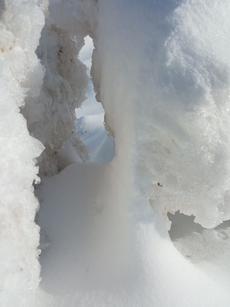 Фотография автора Людмила Зубова